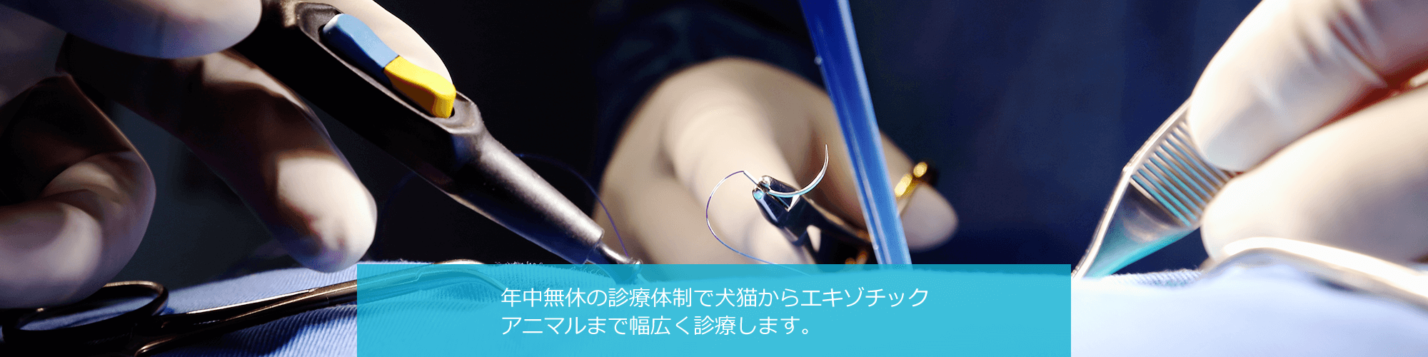 年中無休の診療体制で犬猫からエキゾチックアニマルまで幅広く診療します。
