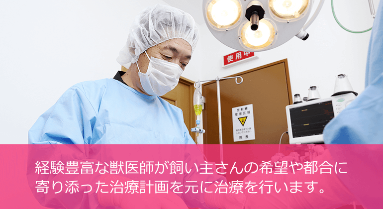 経験豊富な獣医師が飼い主さんの希望や都合に寄り添った治療計画を元に治療を行います。